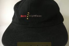 Banestyrelsen
