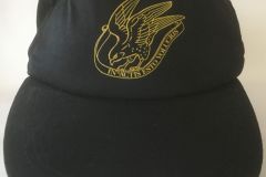 Hæren Garderhusarregimente