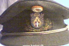 Sektionleder i C.F