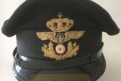 Stationsforstander Overtrafikkontrollører