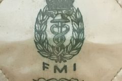 FMI