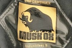 MUSK OX  /  NORDKAP