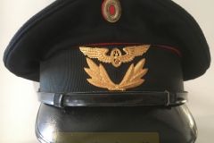 Privatbane Trafikekspedient