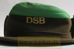 DSB 1973-1983 Pakmestre
