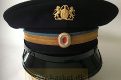 Københavns kommune, Lygtekontrol