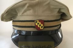 Høje Taastrup Kommune