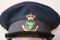 Lufthhavns politi