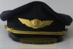 SAS Pilot