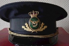 Lufthavnspoliti, vagtmester