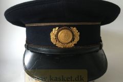 Den Danske Rigsdag