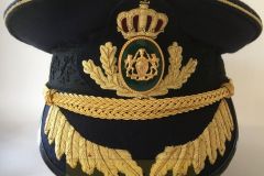 Politiassessor, Vicepolitimester.