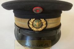 Politikasket 1938 -54.