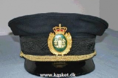 Politiassistent