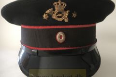 Postbudformand model 1950