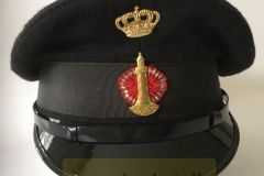 Fyr-og-Vagervæsenet