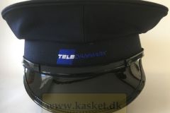 TELEDANMARK