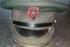 Irland-politi