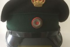 Ukendt Mørkegrøn huebånd